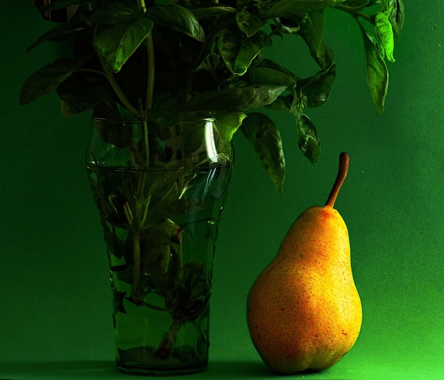 Dorsolniva galéria 3